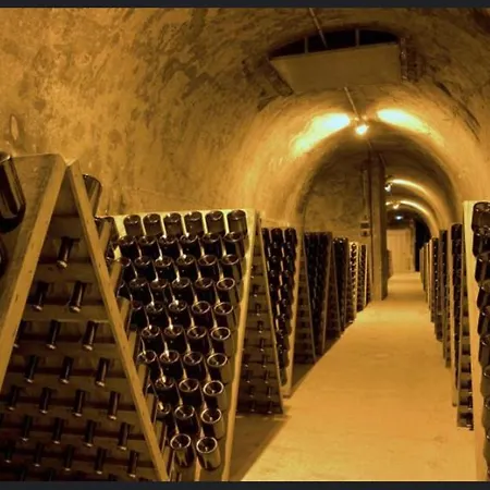 L'ange Dore Apartment Reims